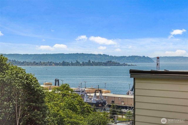 1965 12th Ave W Unit 202, Seattle, WA 98119 - water view
