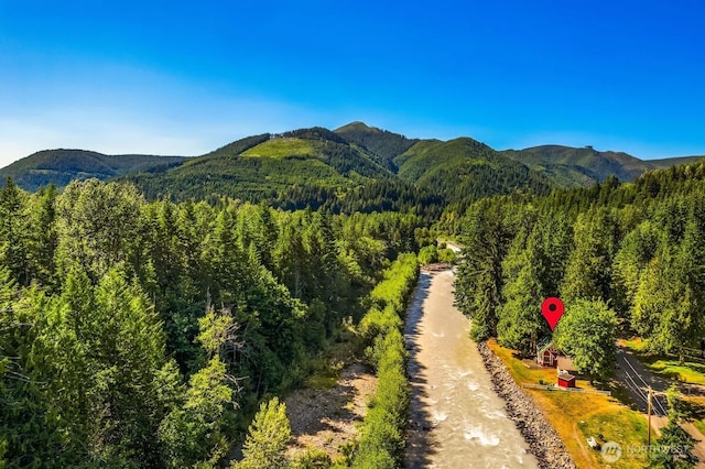 11318 583rd Ave E, Enumclaw, WA 98022 - view of mountain backdrop featuring a heavily wooded area