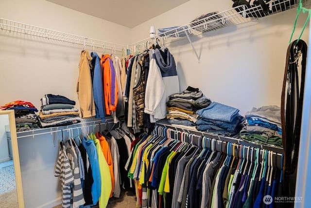 733 K St NE, Quincy, WA 98848 - spacious closet with carpet floors