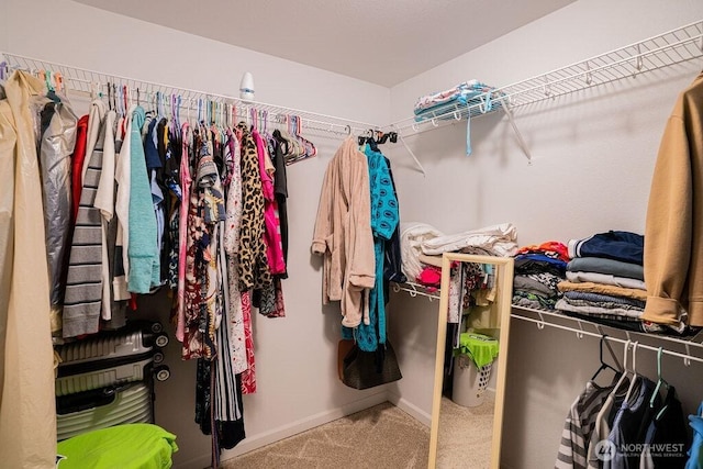 733 K St NE, Quincy, WA 98848 - spacious closet with carpet floors