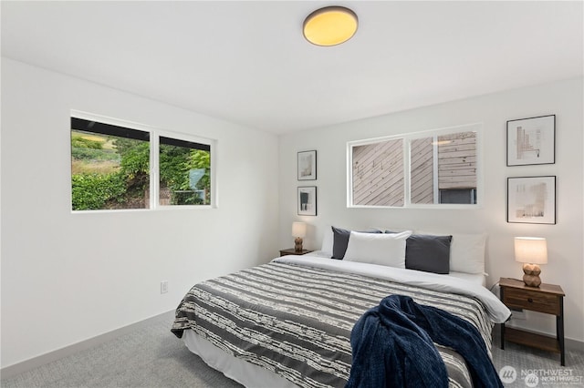 1345 Rainbow Ln, Camano Island, WA 98282 - bedroom with carpet flooring and baseboards