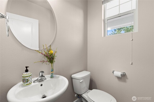 1909 184th Street Ct E, Spanaway, WA 98387 - photo 5