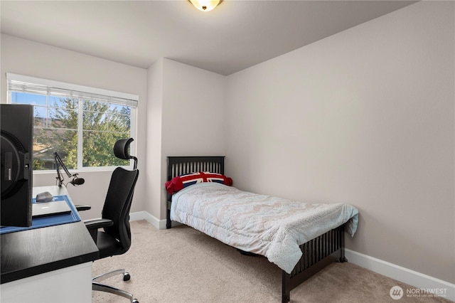 1909 184th Street Ct E, Spanaway, WA 98387 - photo 19
