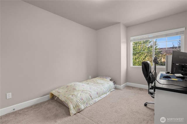 1909 184th Street Ct E, Spanaway, WA 98387 - photo 24
