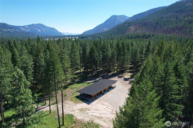 19 Davelaar Dr, Mazama, WA 98833 - aerial view of property and surrounding area with a forest and a mountain backdrop