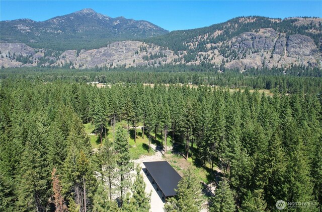 19 Davelaar Dr, Mazama, WA 98833 - view of mountain backdrop with a heavily wooded area