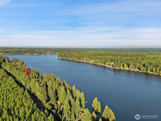 1380 E Mason Lake Dr W, Grapeview, WA 98546
