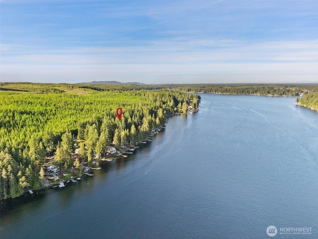 1380 E Mason Lake Dr W, Grapeview, WA 98546