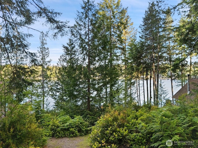 1380 E Mason Lake Dr W, Grapeview, WA 98546