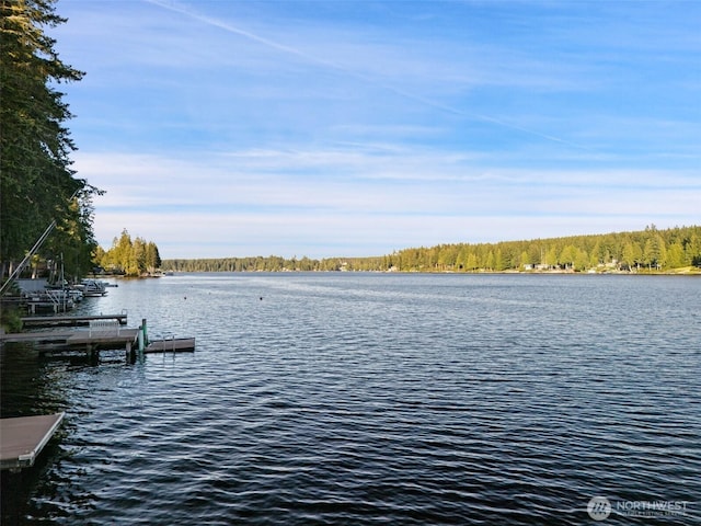 1380 E Mason Lake Dr W, Grapeview, WA 98546