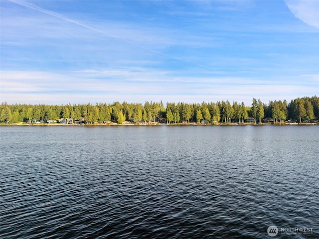 1380 E Mason Lake Dr W, Grapeview, WA 98546