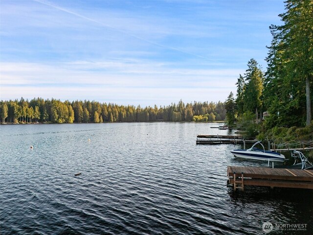 1380 E Mason Lake Dr W, Grapeview, WA 98546