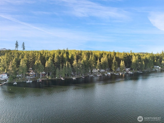 1380 E Mason Lake Dr W, Grapeview, WA 98546