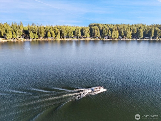 1380 E Mason Lake Dr W, Grapeview, WA 98546