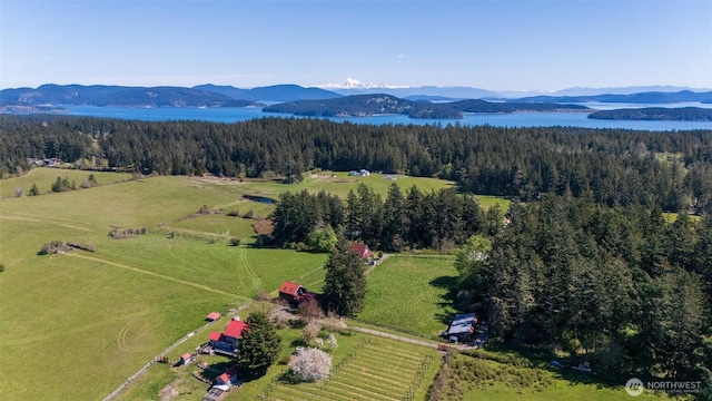 472 Redtail Ln, Lopez Island, WA 98261 - overview of rural landscape with a water and mountain view and a forest