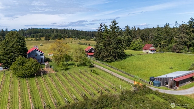 472 Redtail Ln, Lopez Island, WA 98261 - view of rural area with a heavily wooded area