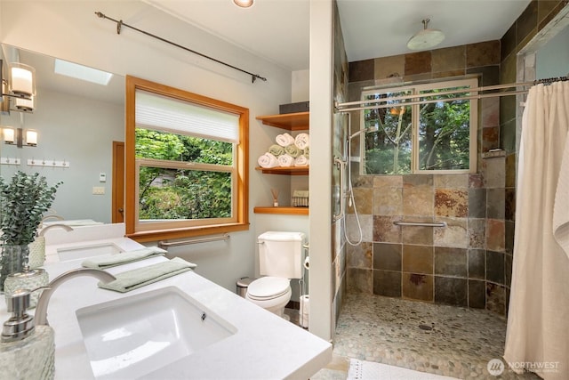 2778 N Nugent Rd N, Lummi Island, WA 98262 - bathroom featuring vanity, a stall shower, and toilet