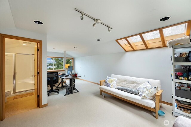 2778 N Nugent Rd N, Lummi Island, WA 98262 - carpeted home office with vaulted ceiling, a skylight, baseboards, and rail lighting