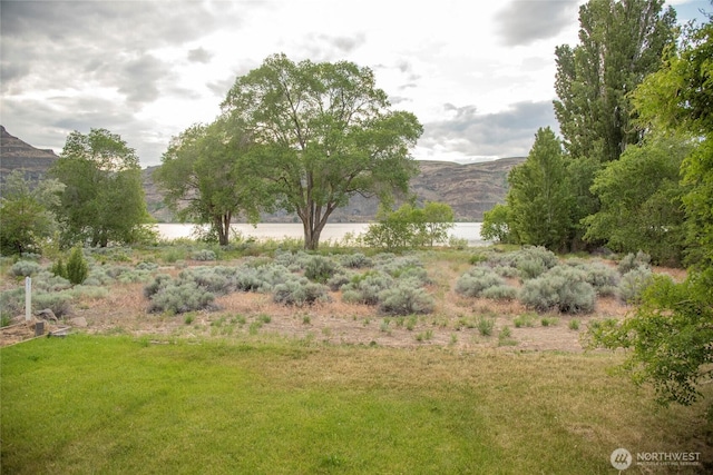 582 River Dr SW, Quincy, WA 98848 - photo 37