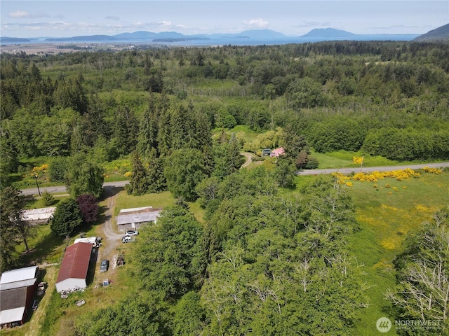 5781 Hobson Rd, Bow, WA 98232 - aerial overview of property's location featuring a heavily wooded area and a mountainous background