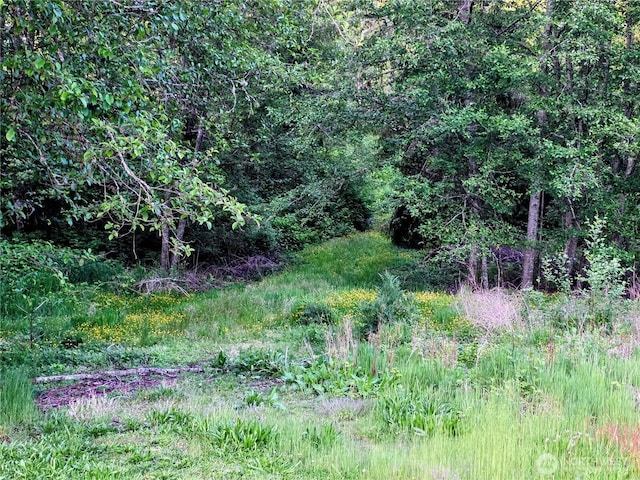 5781 Hobson Rd, Bow, WA 98232 - view of local wilderness