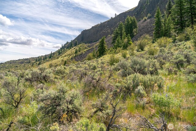 4095 Cathedral Rock Rd, Malaga, WA 98828 - photo 26