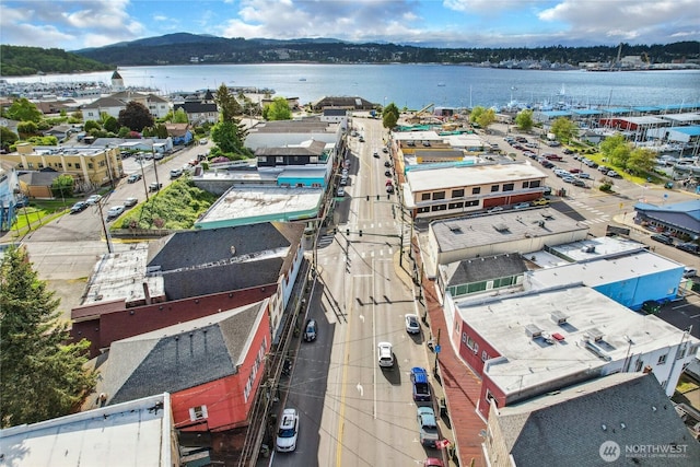 817 Kitsap St, Port Orchard, WA 98366 - drone / aerial view of a large body of water