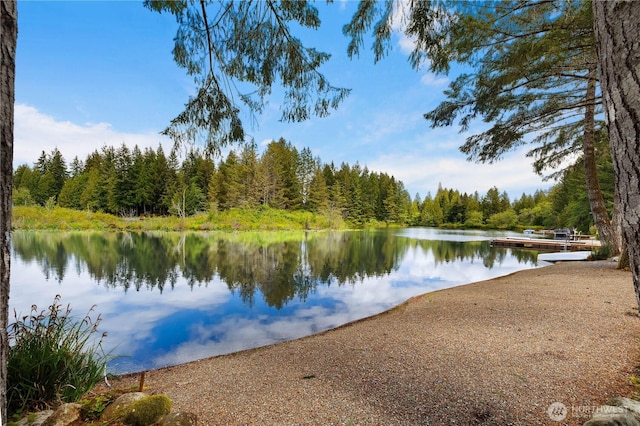 1051 E Ballantrae Dr, Shelton, WA 98584 - photo 4