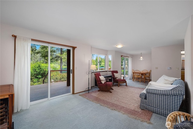 1051 E Ballantrae Dr, Shelton, WA 98584 - photo 26