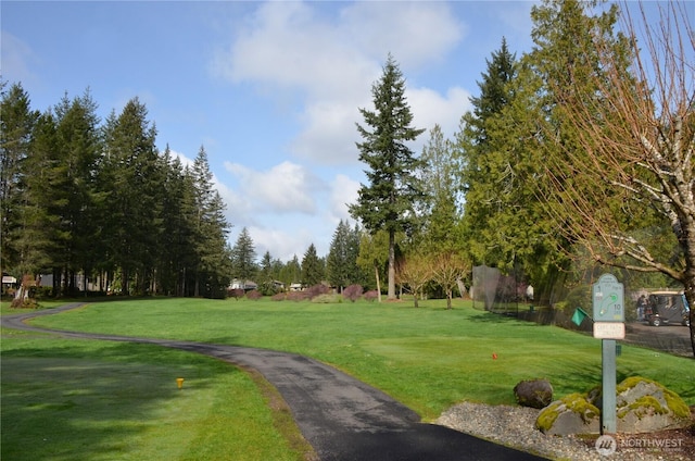 1051 E Ballantrae Dr, Shelton, WA 98584 - photo 40