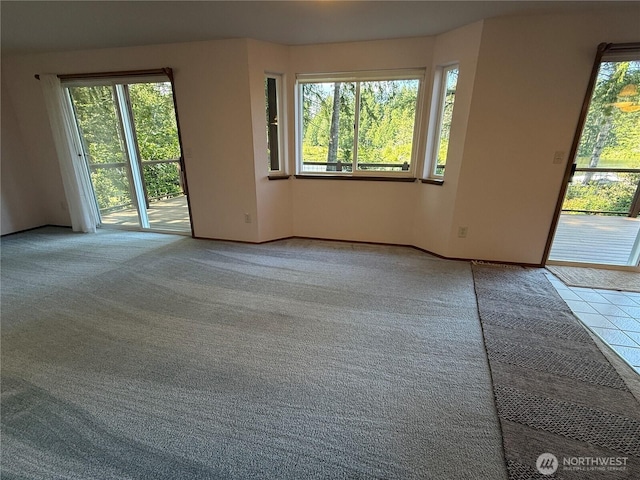 1051 E Ballantrae Dr, Shelton, WA 98584 - photo 28