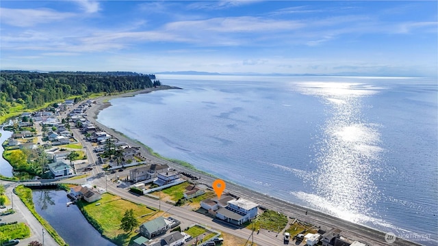 7491 Birch Bay Dr, Blaine, WA 98230 - bird's eye view of a nearby body of water