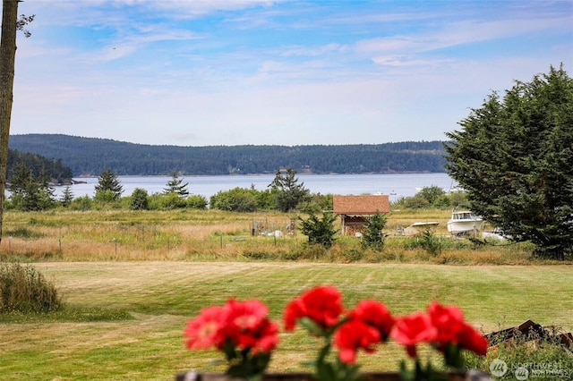 54 Center View Dr, Decatur Island, WA 98221 - water view with a forest