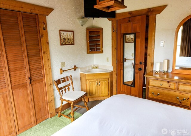 54 Center View Dr, Decatur Island, WA 98221 - carpeted bedroom with a textured wall, a sink, and arched walkways