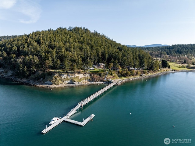 54 Center View Dr, Decatur Island, WA 98221 - aerial overview of property's location featuring a forest and a large body of water