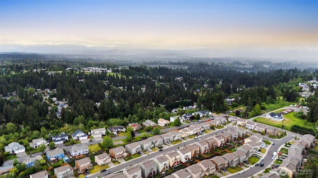 14204 67th Avenue Ct E, Puyallup, WA 98373 - aerial view at dusk of a residential view and a wooded view