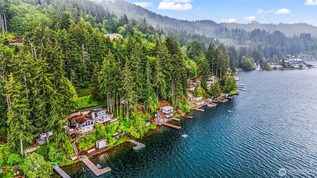 1201 Summit Lake Shore Rd NW, East Olympia, WA 98502 - aerial view of a heavily wooded area and a nearby body of water