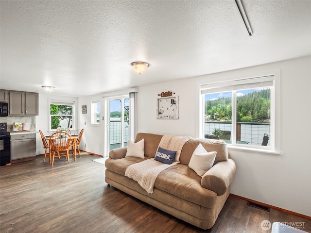 1201 Summit Lake Shore Rd NW, East Olympia, WA 98502 - living room featuring dark wood finished floors, a textured ceiling, and baseboards