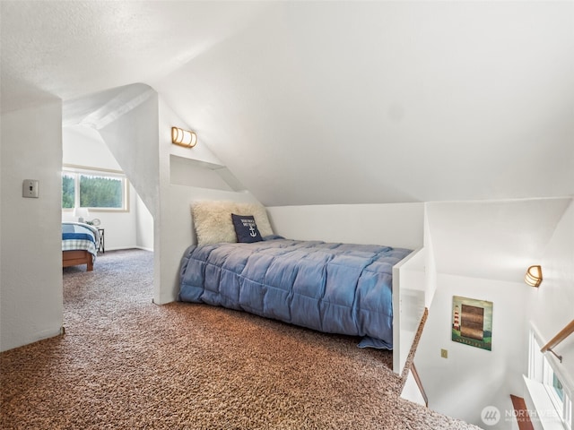1201 Summit Lake Shore Rd NW, East Olympia, WA 98502 - bedroom featuring carpet flooring and lofted ceiling