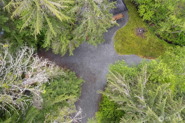 34208 343rd Avenue Ct E, Ashford, WA 98304 - aerial view of property and surrounding area