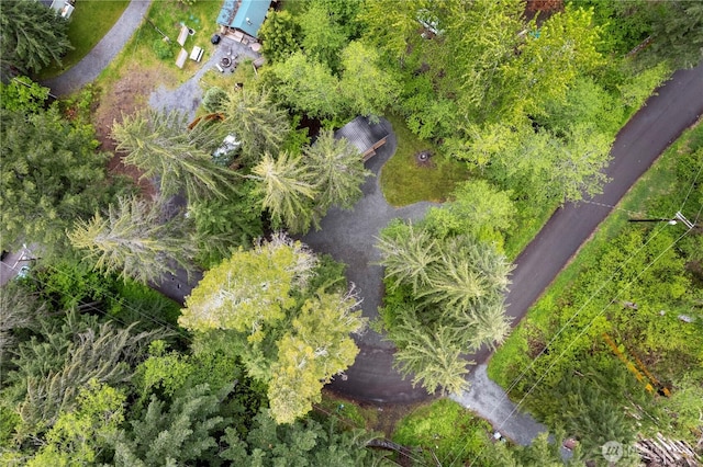 34208 343rd Avenue Ct E, Ashford, WA 98304 - bird's eye view