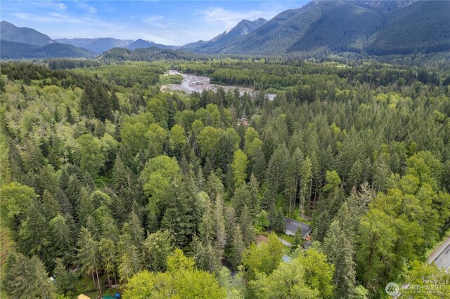 34208 343rd Avenue Ct E, Ashford, WA 98304 - view of mountain backdrop featuring a heavily wooded area