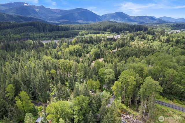34208 343rd Avenue Ct E, Ashford, WA 98304 - mountain view featuring a forest