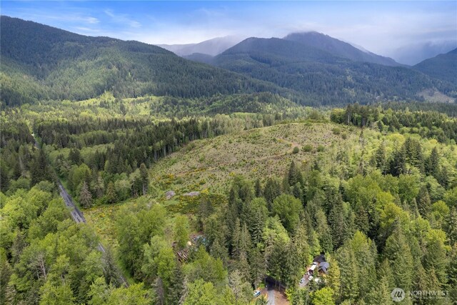 34208 343rd Avenue Ct E, Ashford, WA 98304 - view of mountain background featuring a heavily wooded area