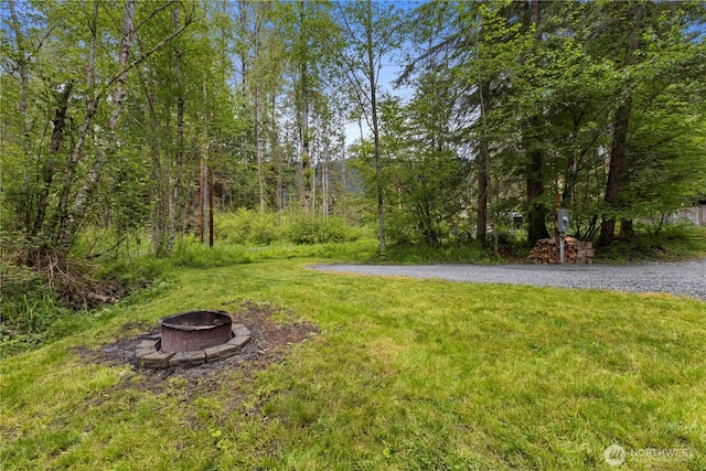 34208 343rd Avenue Ct E, Ashford, WA 98304 - view of grassy yard with an outdoor fire pit