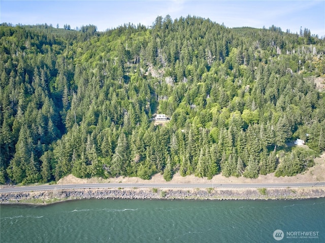 46 Wildwood Ln, Cathlamet, WA 98612 - view of property location featuring a forest and a nearby body of water