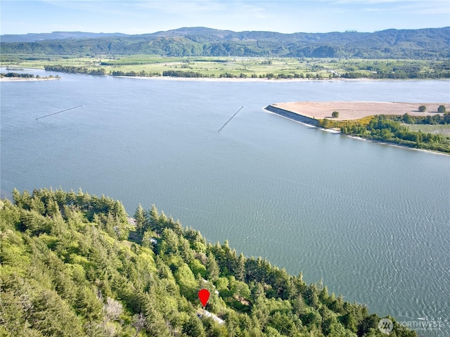46 Wildwood Ln, Cathlamet, WA 98612 - drone / aerial view of a water and mountain view