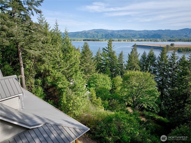 46 Wildwood Ln, Cathlamet, WA 98612 - water view featuring a mountain backdrop