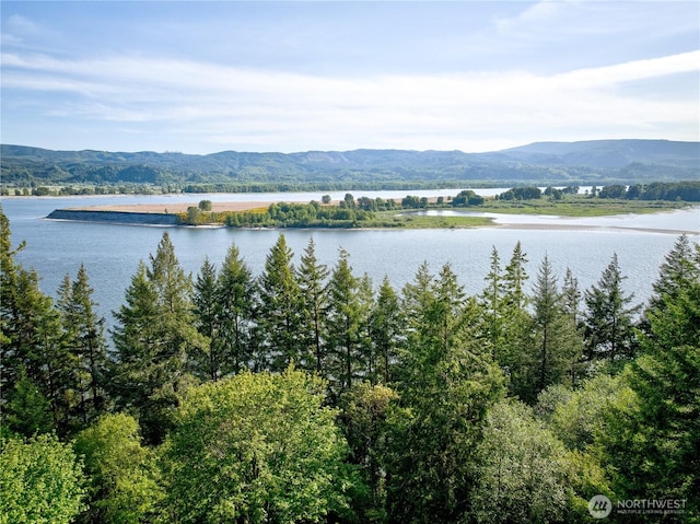46 Wildwood Ln, Cathlamet, WA 98612 - water view featuring a mountain backdrop