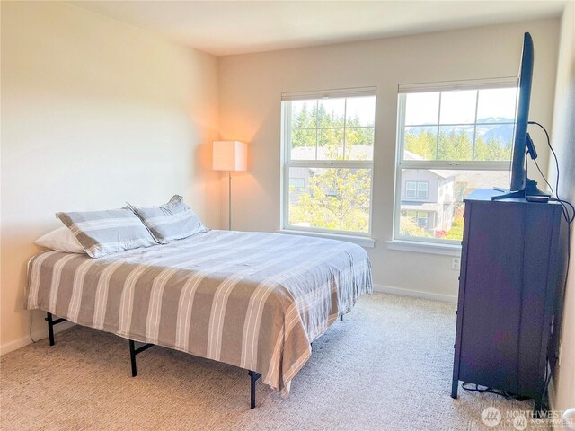 7732 Fairway Ave SE Unit 203, Snoqualmie, WA 98065 - bedroom with carpet and baseboards